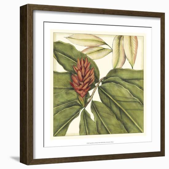 Tropical Blooms and Foliage II-Jennifer Goldberger-Framed Premium Giclee Print