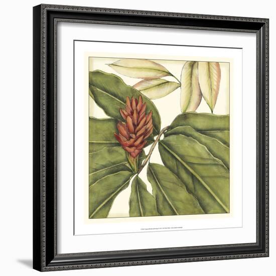 Tropical Blooms and Foliage II-Jennifer Goldberger-Framed Premium Giclee Print