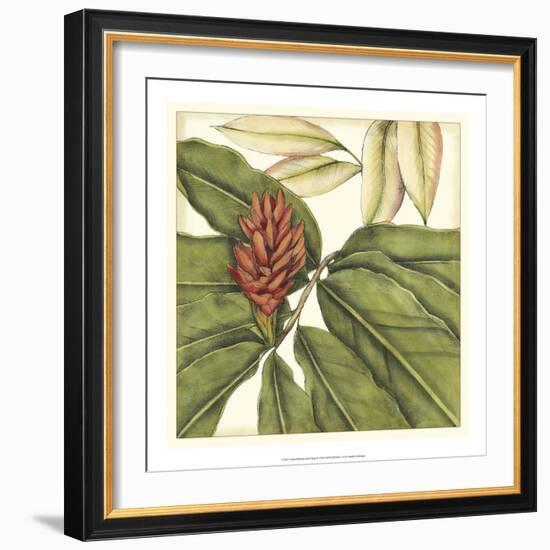 Tropical Blooms and Foliage II-Jennifer Goldberger-Framed Premium Giclee Print