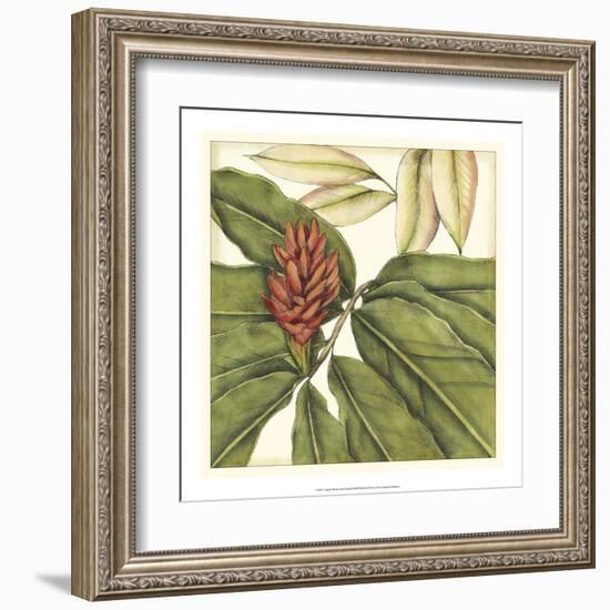 Tropical Blooms and Foliage II-Jennifer Goldberger-Framed Art Print