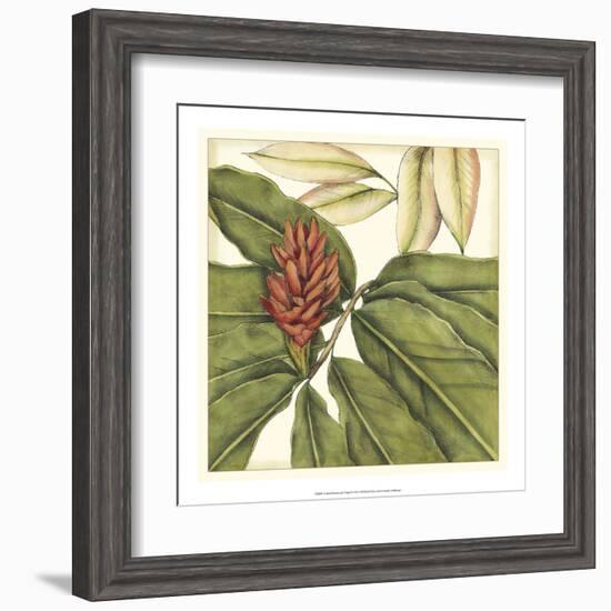 Tropical Blooms and Foliage II-Jennifer Goldberger-Framed Art Print