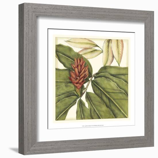 Tropical Blooms and Foliage II-Jennifer Goldberger-Framed Art Print