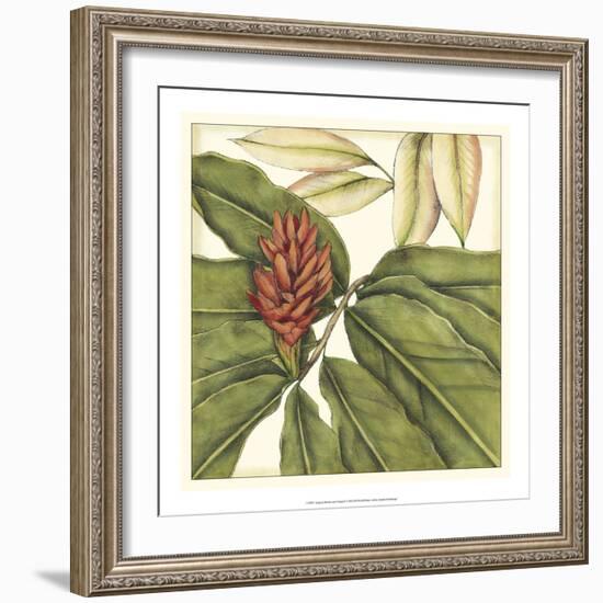 Tropical Blooms and Foliage II-Jennifer Goldberger-Framed Art Print