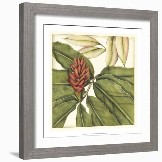 Tropical Blooms and Foliage II-Jennifer Goldberger-Framed Art Print