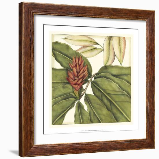 Tropical Blooms and Foliage II-Jennifer Goldberger-Framed Art Print