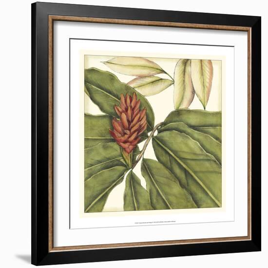 Tropical Blooms and Foliage II-Jennifer Goldberger-Framed Art Print