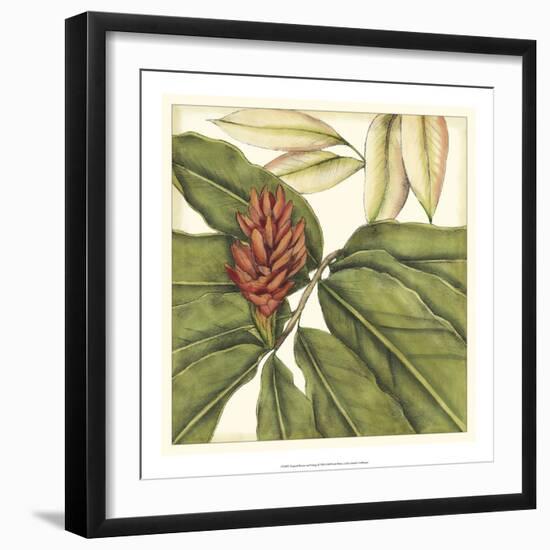 Tropical Blooms and Foliage II-Jennifer Goldberger-Framed Art Print