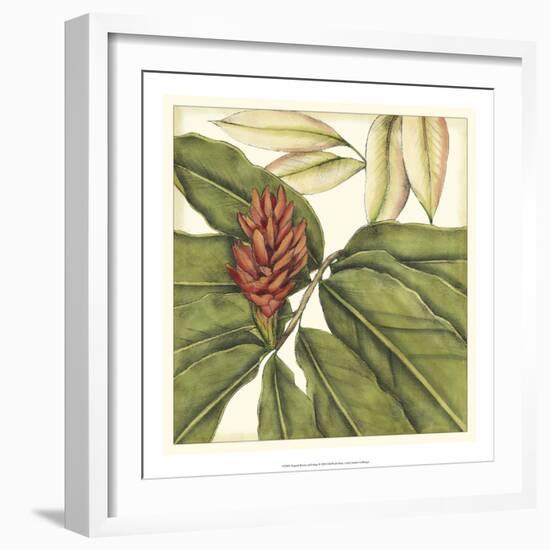 Tropical Blooms and Foliage II-Jennifer Goldberger-Framed Art Print