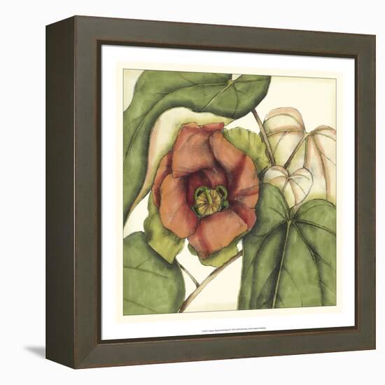 Tropical Blooms and Foliage IV-Jennifer Goldberger-Framed Stretched Canvas