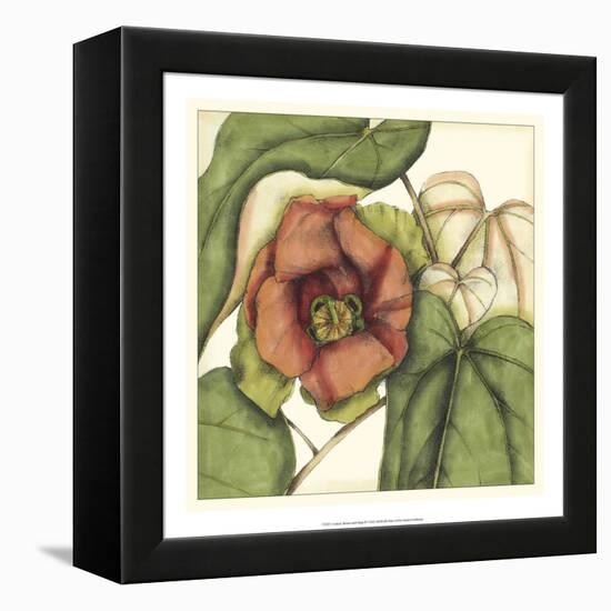 Tropical Blooms and Foliage IV-Jennifer Goldberger-Framed Stretched Canvas