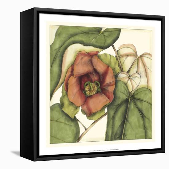 Tropical Blooms and Foliage IV-Jennifer Goldberger-Framed Stretched Canvas
