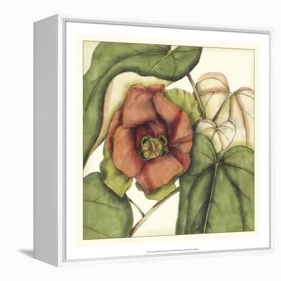 Tropical Blooms and Foliage IV-Jennifer Goldberger-Framed Stretched Canvas