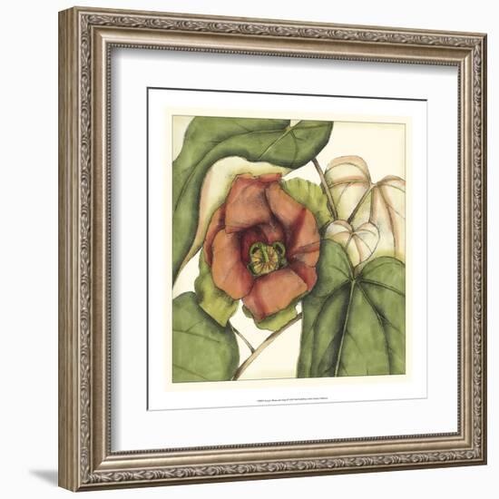 Tropical Blooms and Foliage IV-Jennifer Goldberger-Framed Art Print