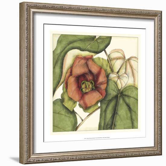 Tropical Blooms and Foliage IV-Jennifer Goldberger-Framed Premium Giclee Print