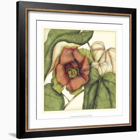 Tropical Blooms and Foliage IV-Jennifer Goldberger-Framed Art Print