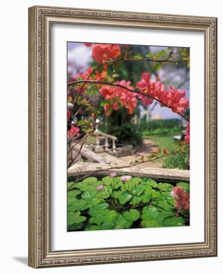 Tropical Blossoms at the Coral Reef Club Entrance, Barbados-Stuart Westmoreland-Framed Photographic Print