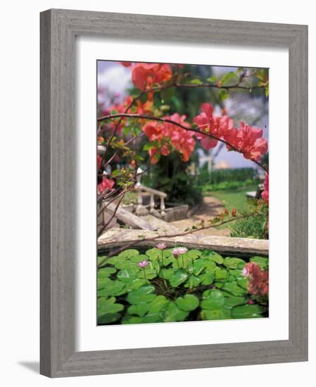 Tropical Blossoms at the Coral Reef Club Entrance, Barbados-Stuart Westmoreland-Framed Photographic Print