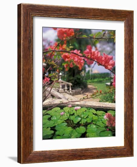 Tropical Blossoms at the Coral Reef Club Entrance, Barbados-Stuart Westmoreland-Framed Photographic Print