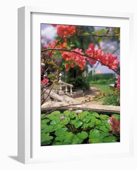 Tropical Blossoms at the Coral Reef Club Entrance, Barbados-Stuart Westmoreland-Framed Photographic Print
