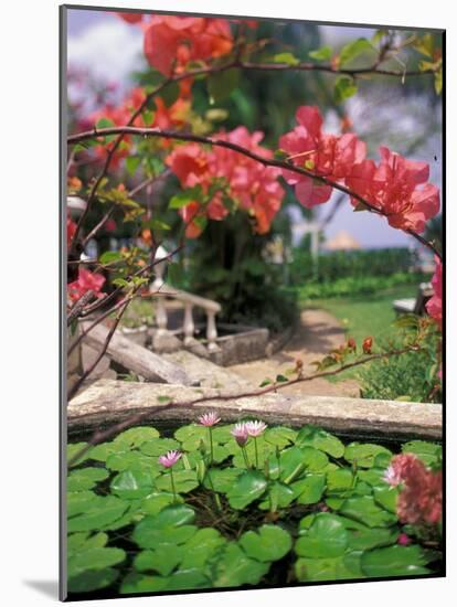 Tropical Blossoms at the Coral Reef Club Entrance, Barbados-Stuart Westmoreland-Mounted Photographic Print