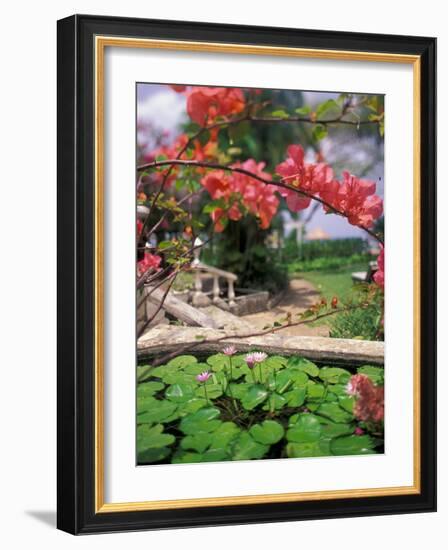 Tropical Blossoms at the Coral Reef Club Entrance, Barbados-Stuart Westmoreland-Framed Photographic Print