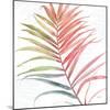 Tropical Blush VI-Lisa Audit-Mounted Art Print