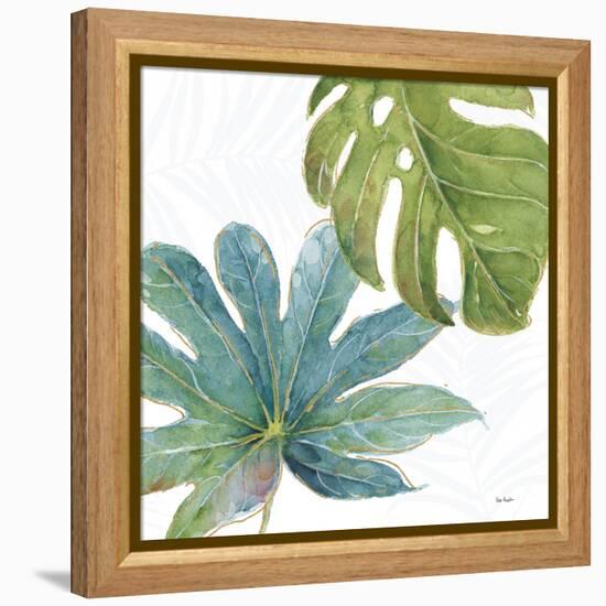 Tropical Blush VII-Lisa Audit-Framed Stretched Canvas