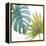 Tropical Blush VIII-Lisa Audit-Framed Stretched Canvas
