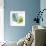 Tropical Blush VIII-Lisa Audit-Framed Premium Giclee Print displayed on a wall