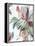 Tropical Botanical Study I-Asia Jensen-Framed Stretched Canvas