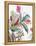 Tropical Botanical Study II-Asia Jensen-Framed Stretched Canvas