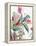 Tropical Botanical Study II-Asia Jensen-Framed Stretched Canvas