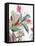 Tropical Botanical Study II-Asia Jensen-Framed Stretched Canvas