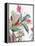 Tropical Botanical Study II-Asia Jensen-Framed Stretched Canvas