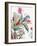 Tropical Botanical Study II-Asia Jensen-Framed Art Print