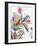 Tropical Botanical Study II-Asia Jensen-Framed Art Print