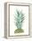 Tropical Botanicals 6-Natasha Marie-Framed Premier Image Canvas