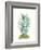 Tropical Botanicals 6-Natasha Marie-Framed Giclee Print