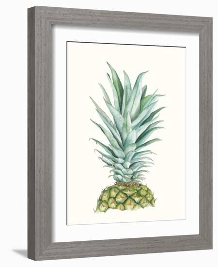 Tropical Botanicals 6-Natasha Marie-Framed Giclee Print