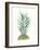 Tropical Botanicals 6-Natasha Marie-Framed Giclee Print