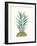 Tropical Botanicals 6-Natasha Marie-Framed Giclee Print