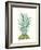 Tropical Botanicals 6-Natasha Marie-Framed Giclee Print