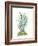 Tropical Botanicals 6-Natasha Marie-Framed Premium Giclee Print