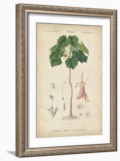 Tropical Botanique V-Vision Studio-Framed Art Print