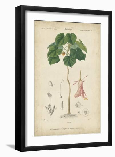 Tropical Botanique V-Vision Studio-Framed Art Print