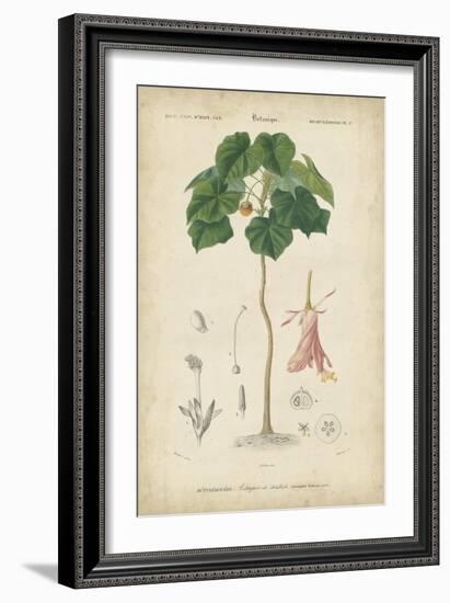 Tropical Botanique V-Vision Studio-Framed Art Print