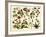 Tropical Botany Chart II-Meyers-Framed Art Print