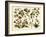 Tropical Botany Chart II-Meyers-Framed Art Print