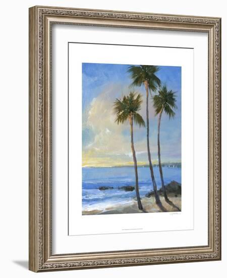 Tropical Breeze II-Tim O'toole-Framed Art Print