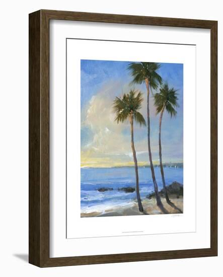 Tropical Breeze II-Tim O'toole-Framed Art Print